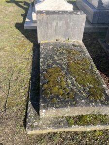 a-quelle-frequence-desherber-une-tombe-pour-eviter-lenvahissement