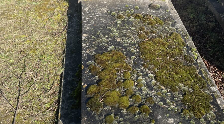 a-quelle-frequence-desherber-une-tombe-pour-eviter-lenvahissement