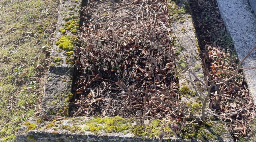 Que risque-t-on si on a une tombe non entretenue ?