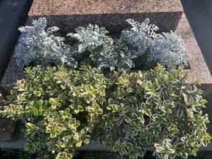 Fleurir une tombe en hiver