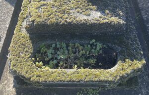 Nettoyage de tombe très sale : par où commencer ?