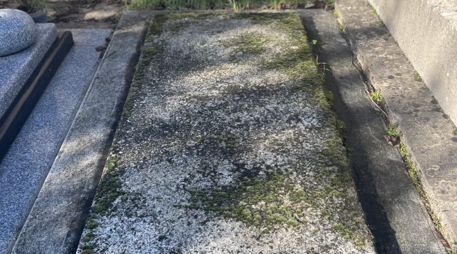 Comment enlever la mousse sur une tombe sans l’abîmer