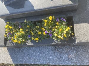 Conseils pour fleurir une tombe toute l’année