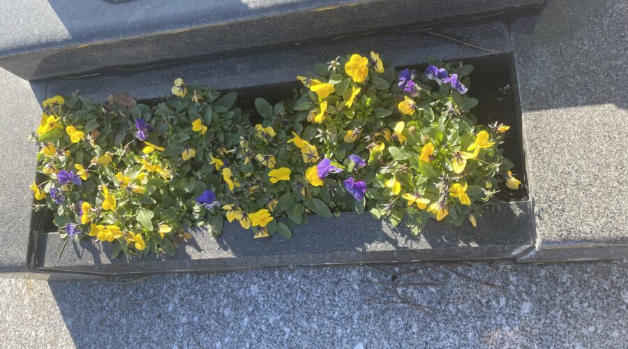 Conseils pour fleurir une tombe toute l’année