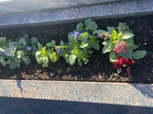 Fleurs naturelles ou artificielles sur une tombe : que choisir et pourquoi ?