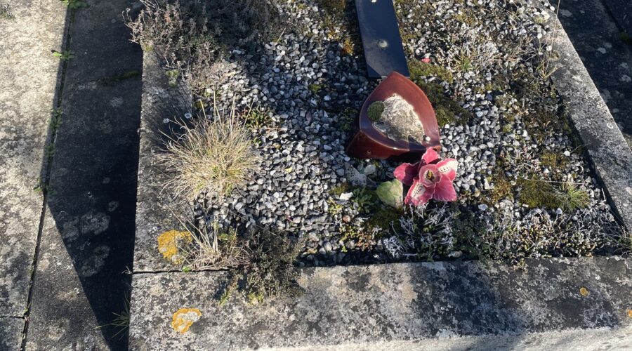 Je ne peux plus entretenir la tombe de mes parents : que faire ?