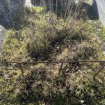 Tombe jugée abandonnée : que dit la loi