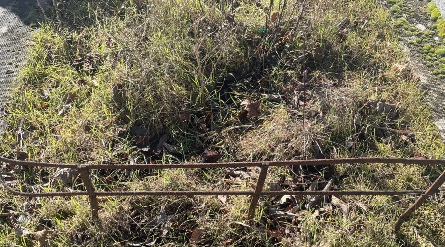 Tombe jugée abandonnée : que dit la loi